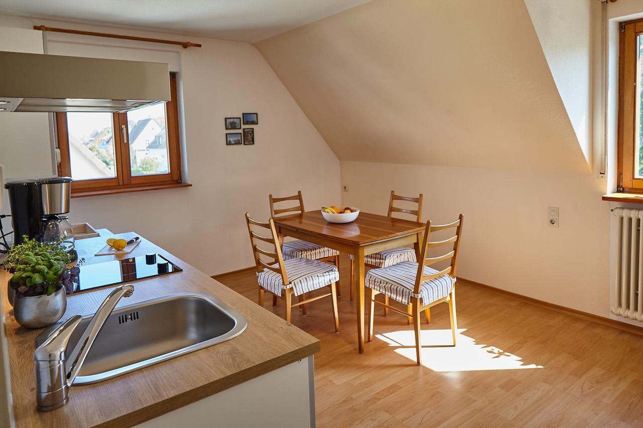 Bodensee Apartment Friedrichshafen Seenah ภายนอก รูปภาพ